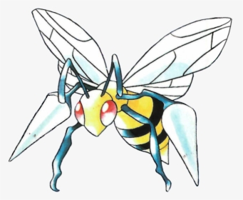 Beedrill Pokemon, HD Png Download, Free Download