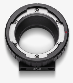 Circle, HD Png Download, Free Download