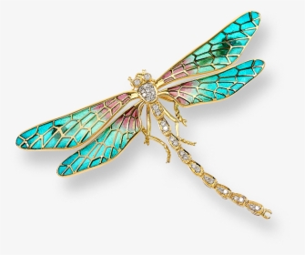 Nicole Barr Designs 18 Karat Gold Dragonfly Brooch-turquoise - Transparent Background Dragonfly Png, Png Download, Free Download