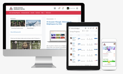 Web Page, HD Png Download, Free Download