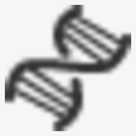 Dna Helix Image - Ski Lift Exit, HD Png Download, Free Download