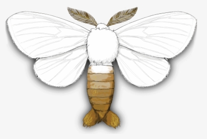 Lycaenid , Png Download - Brown Tail Moth, Transparent Png, Free Download