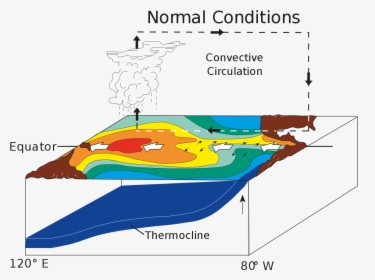 La Nina Normal Conditions, HD Png Download, Free Download