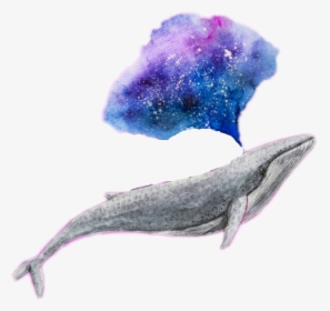 Galaxy Clipart Galaxy Tumblr - Whale Clipart, HD Png Download, Free Download