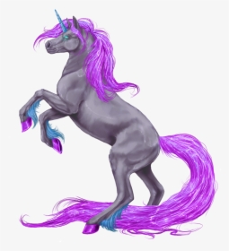 Unicorn Horn Gypsy Horse Winged Unicorn Wikipedia - Realistic Unicorn Png, Transparent Png, Free Download