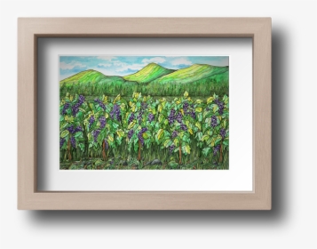 Vineyard Artwork Dee Skelton - Picture Frame, HD Png Download, Free Download