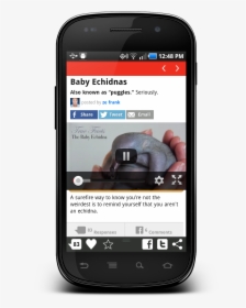 Youtube Player Free Download For Android - Youtube Android Player Api, HD Png Download, Free Download