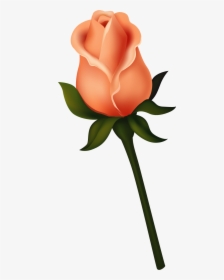 Transparent Bud Png - Flower Clipart Single Rose Orange, Png Download, Free Download