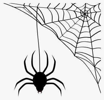 Spider Web Clipart, HD Png Download, Free Download