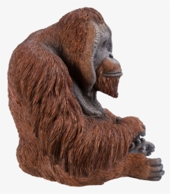 Orangutan Png, Transparent Png, Free Download