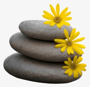 Zen Png Picture - Yellow Flower Wallpaper For Iphone, Transparent Png, Free Download