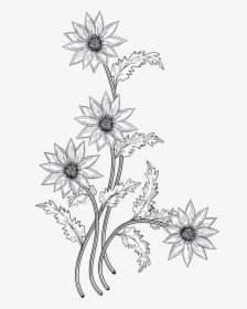 flower drawing png images free transparent flower drawing download kindpng flower drawing png images free