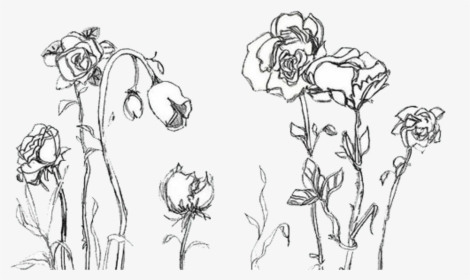 Drawing Flower Transparent Tumblr - Aesthetic Flower Drawing Png, Png Download, Free Download