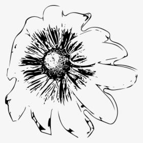 Symmetry,monochrome Photography,petal - Sunflower, HD Png Download, Free Download