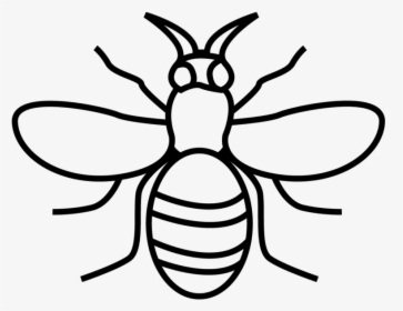 Manchester Bee Black And White, HD Png Download, Free Download