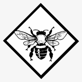 File Gothawiki Filebee Logopng - Vintage Bee Illustration, Transparent Png, Free Download