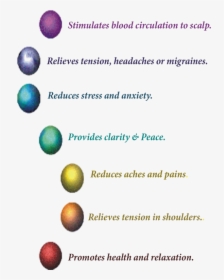 Chakras With Benefits For Indian Head Massage, Swan - Indian Head Massage Chakras, HD Png Download, Free Download