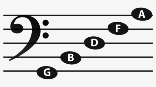 Bass Line Notes - Bass Clef Note F, HD Png Download, Free Download