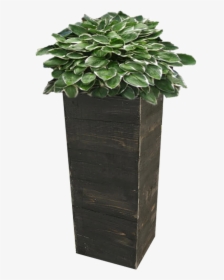 Planter Png Page, Transparent Png, Free Download
