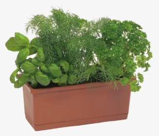 Trough Planters - Flowerpot - Flowerpot, HD Png Download, Free Download