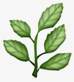 Leaf Plant Green Aesthetic - Herb Emoji Png, Transparent Png, Free Download