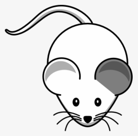 White Mouse Left Grey Ear Svg Clip Arts - Mouse Line Drawing, HD Png Download, Free Download