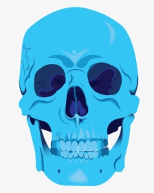 Skull, HD Png Download, Free Download