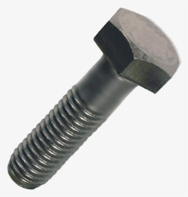 Find The Ima Of A Screw, HD Png Download, Free Download