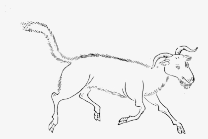 Transparent Ibex Clipart - Line Art, HD Png Download, Free Download