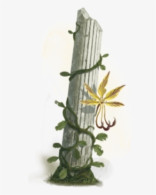 D&d Plant, HD Png Download, Free Download