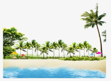 Beach With Coconut Palms And Summer Huts, HD Png Download, Free Download
