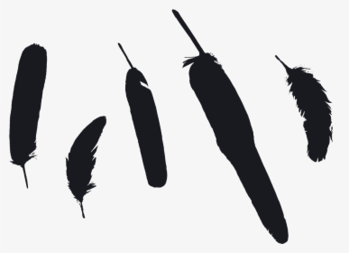 Indian Feathers Png, Transparent Png, Free Download