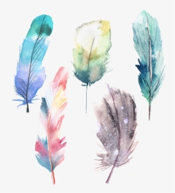 Clip Art Feather Painting Blue Transprent, HD Png Download, Free Download
