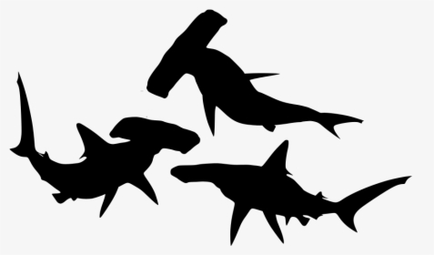 Shark Silhouette Png, Transparent Png, Free Download