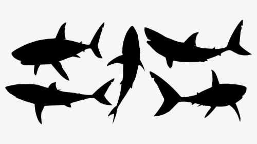 Free Free 184 Shark Silhouette Svg Free SVG PNG EPS DXF File