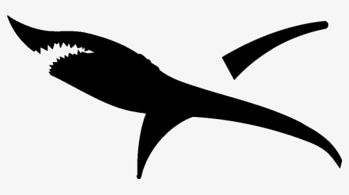 Shark Silhouette Png, Transparent Png, Free Download