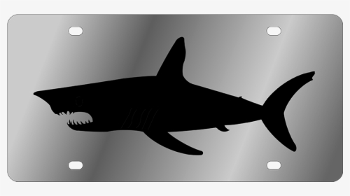 Lifestyle - Ss Plate - Shark, HD Png Download, Free Download