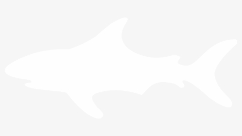 Shark Silhouette Png, Transparent Png, Free Download