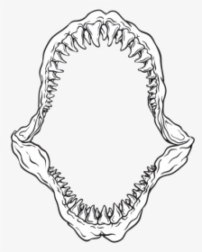 Collection Of Free Jaws Drawing, HD Png Download, Free Download