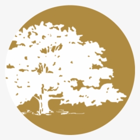 Tree Of Life Silhouette Png, Transparent Png, Free Download