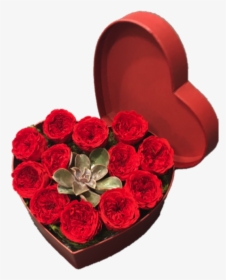 12 Preserved Red Rose Heart Box With Succulent, HD Png Download, Free Download