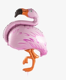 Pink Flamingos , Png Download, Transparent Png, Free Download