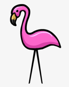 Flamingos Png Download, Transparent Png, Free Download