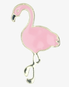Pink Flamingo Png, Transparent Png, Free Download