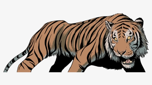 Illustrated Tiger In A Cautious Stance Looking To Left, HD Png Download, Free Download