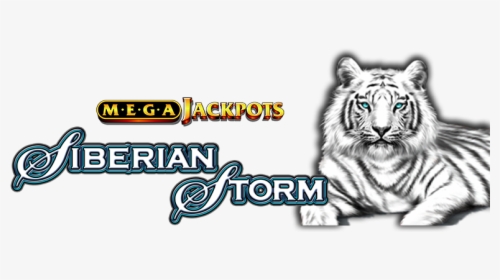 Tiger Eyes Png, Transparent Png, Free Download