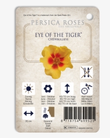 Tiger Eyes Png, Transparent Png, Free Download