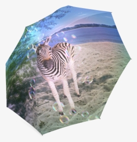 Transparent Baby Zebra Png, Png Download, Free Download
