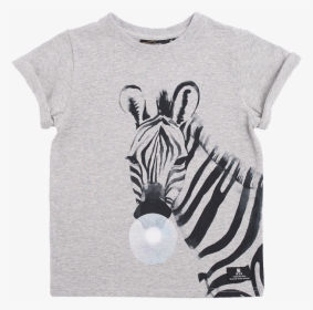 Baby Zebra Png, Transparent Png, Free Download