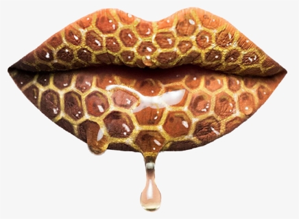 Transparent Honey Drip Png, Png Download, Free Download